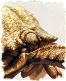 IMG-BestiaryMMBeetleSMALL.png