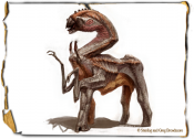 IMG-BestiaryShallowBEAK01LARGE.png
