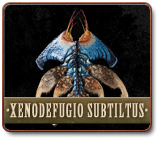 IMG XenodefugioSubtiltus