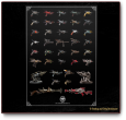 IMG-RaygunCollectionposter1.png