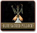BLUE SACKED PILLOCK (MALE) - SIMPLETONICUS INDIGUM